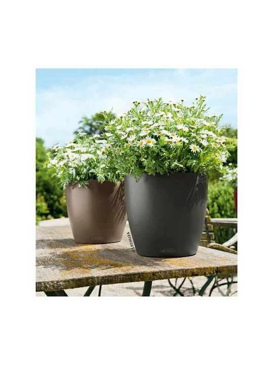 Lechuza Classico Auto-udare Ghiveci Plastic Slate 21.5x21.5x20cm.