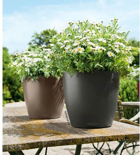 Lechuza Classico Self-watering Pot Plastic Slate 21.5x21.5x20cm.