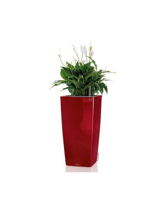 Lechuza Cubico Premium Self-watering Pot Plastic Scarlet Red High-Gloss 40x40x75cm.
