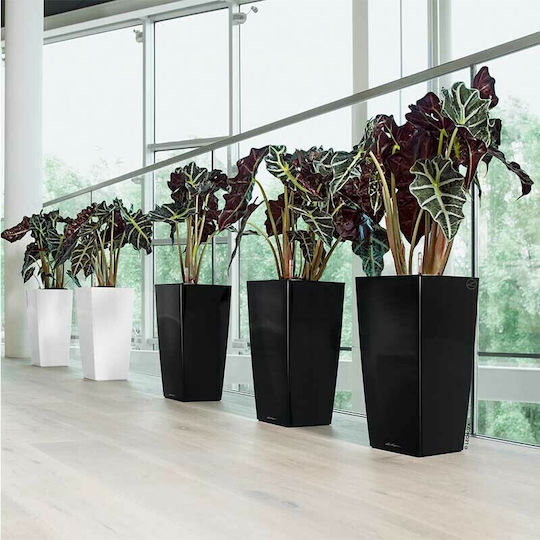 Lechuza Cubico Premium Самополивен Саксия Пластмаса 39.5x39.5x75.5см.