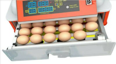 240w Nanchang Edward Electric Incubator for 92 Eggs