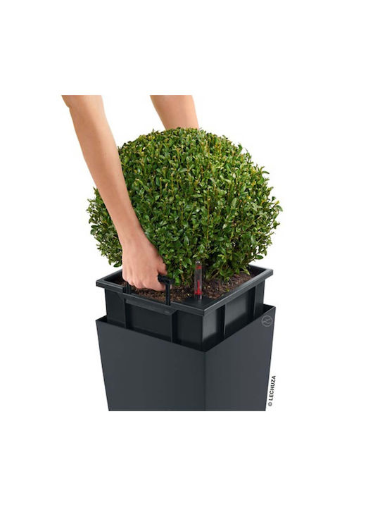 Lechuza Cubico Self-watering Pot Plastic 22x22x41cm.