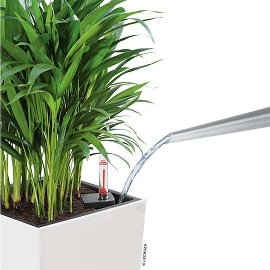 Lechuza Cubico Self-watering Pot Plastic 22x22x41cm.