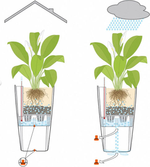 Lechuza Cubico Self-watering Pot Plastic 22x22x41cm.