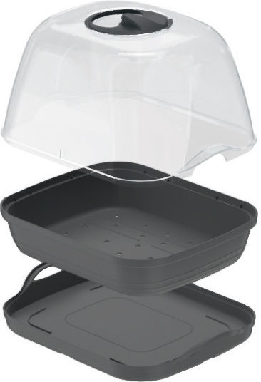 Prosperplast Respana Table Plus Mini Σπορείο 25.7x19.6x18.5cm