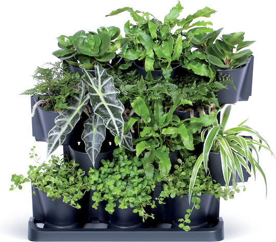 Prosperplast Kräutertöpfe Cascade Garden Set 12 Blumentöpfe Kunststoff Prosperplast Kräutertöpfe Cascade Garden Set 12 Blumentöpfe Kunststoff