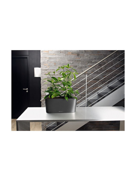 Lechuza Delta Auto-udare Planter Box Plastic Gri 40x15x18cm.