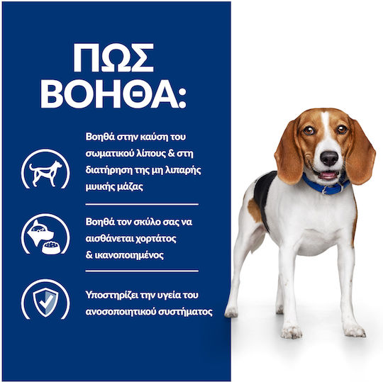 Hill's Prescription Diet R/d Weight Reduction 10kg Dry Food Diet for Adult Dogs with Chicken