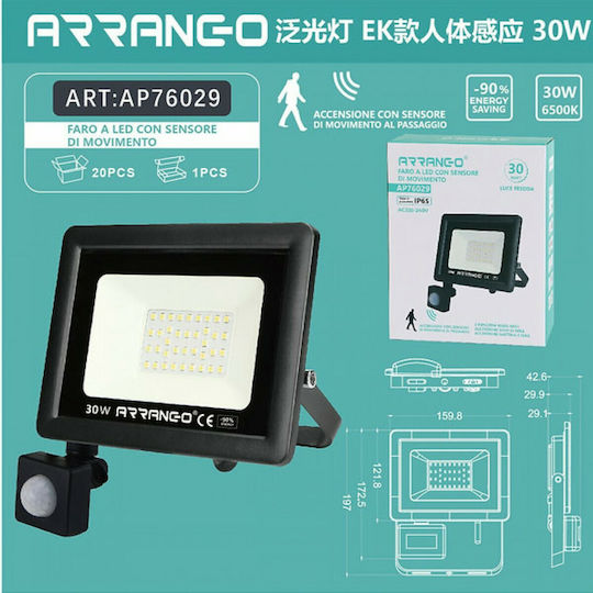 Arrango Προβολέας LED 30W Ψυχρό Λευκό 5000K με Αισθητήρα Κίνησης