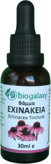 Biogalaxy Tinktur Echinacea Tinktur 30ml
