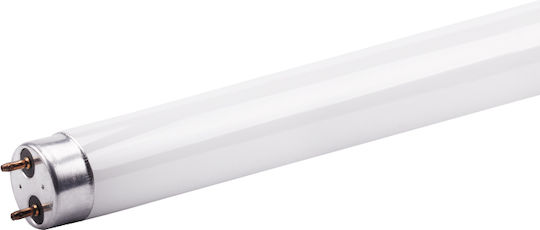 Diolamp LED-Lampe 9W Röhrenform 60εκ. für Fassung G13 und Form T8 Warmes Weiß 800lm
