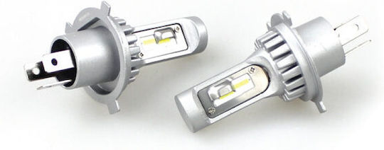 Heleco Lamps Car H4 LED 12-24V 1pcs