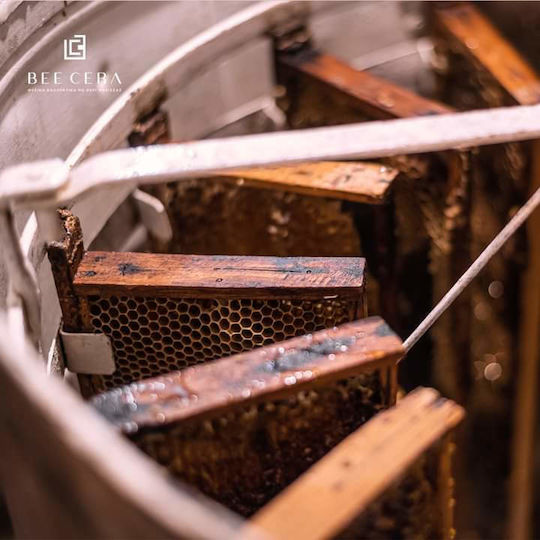 Bee Cera Κεραλοιφή με Καλέντουλα, Σπαθόχορτο & Πρόπολη 50ml