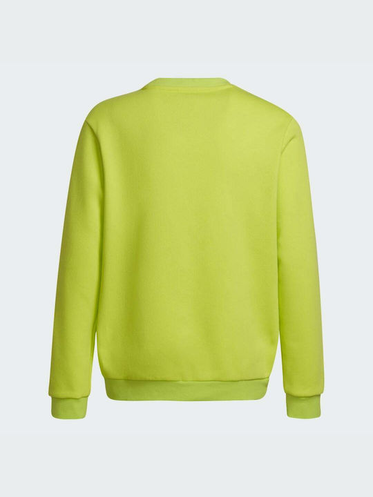 Adidas Fleece - Polar Hanorac pentru copii Verde Entrada 22