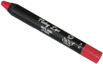 Dido Cosmetics Fleshy Lips Matte Jumbo Lip Pencil 14 2gr