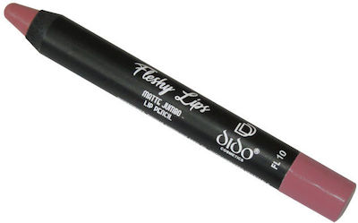 Dido Cosmetics Fleshy Lips Matte Jumbo Lip Pencil 10 2gr