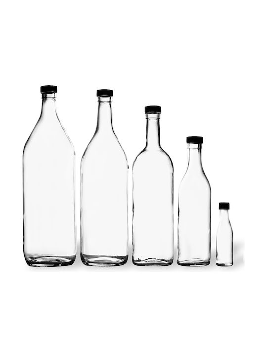 Glass Water Bottle with Screw Cap Transparent 700ml