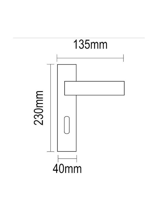 Viometale Lever Middle Door with Plate 06.763 Pair Nickel