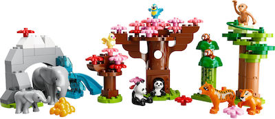 Lego Duplo Wild Animals of Asia pentru 2+ ani