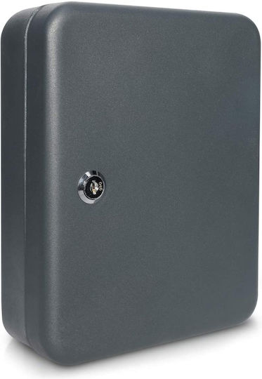Navaris Agățătoare Chei Metalică Cu Încuietoare 48 Compartimente 20x8x25cm Navaris Agățătoare Chei Metalică Cu Încuietoare 48 Compartimente 20x8x25cm