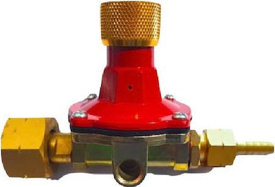 Low Pressure Gas Regulator