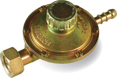 Medium Pressure Gas Regulator 1 kg/h