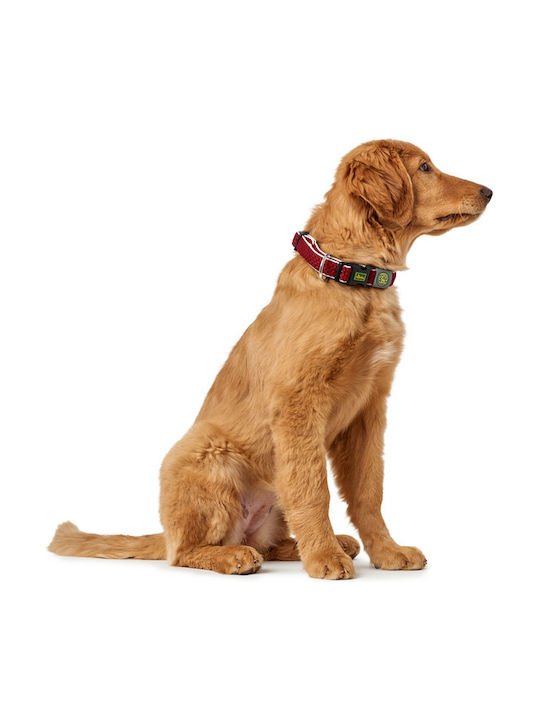 Hunter Hilo Vario Basic Mesh Hundehalsband in Türkis Farbe Klein 25mm x 30 - 43cm