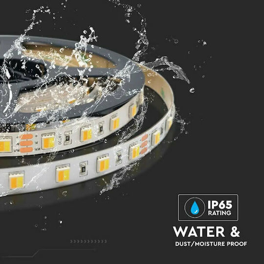 V-TAC Wasserdicht LED-Streifen 24V Warm zu kühlem Weiß Licht 5m Typ SMD2835