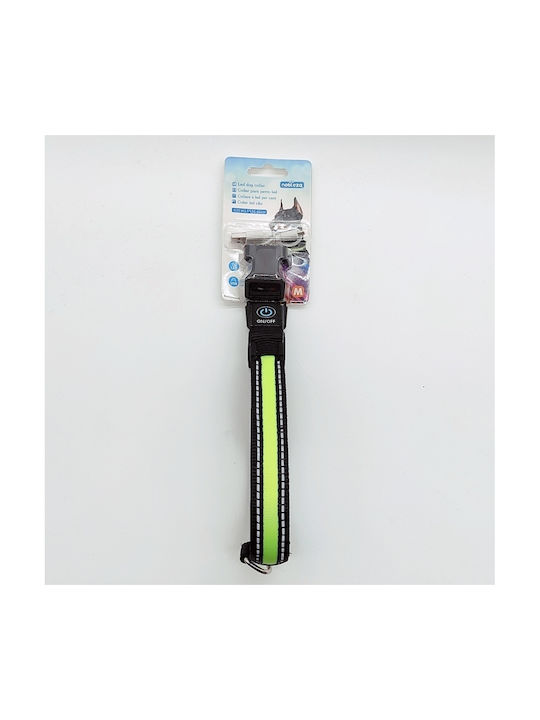 Nobleza Hundehalsband aus Nylon in Grün Farbe 25mm x 51 - 61cm Nobleza Hundehalsband aus Nylon in Grün Farbe 25mm x 51 - 61cm