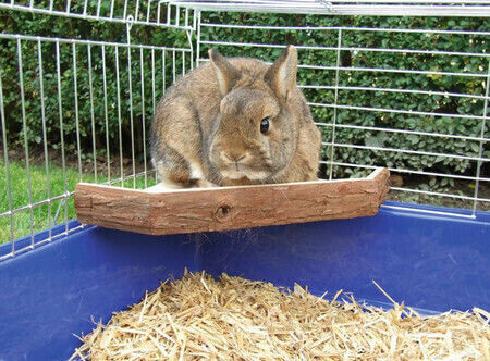 Kerbl Τρωκτικών Vantage Point for Rabbit 26x26x4cm