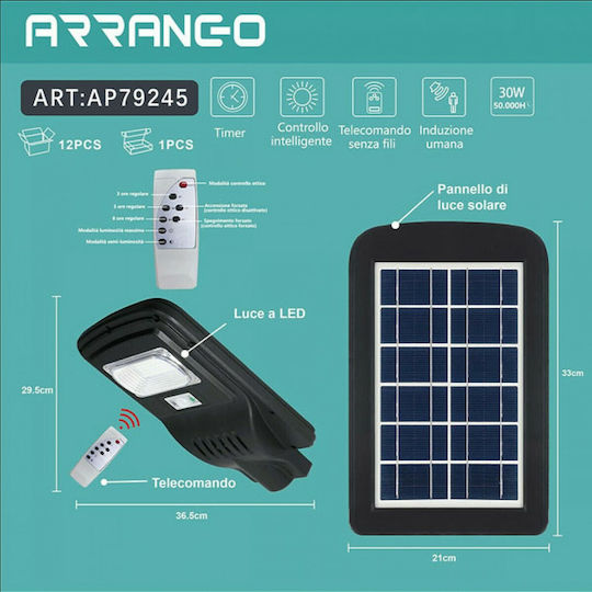 Arrango Ηλιακό Φωτιστικό Δρόμου 30W Ψυχρό Λευκό 6500K με Αισθητήρα Κίνησης IP65 33x21εκ.