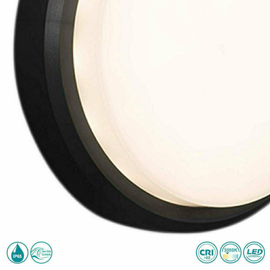Faro Barcelona Tom Wall-Mounted Outdoor Ceiling Light LED IP65 7W with Warm White Light