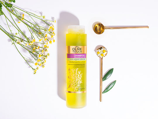 Olive Touch Organic Olive Oil & Chamomile Extract Σαμπουάν Αναδόμησης/Θρέψης για Όλους τους Τύπους Μαλλιών 300ml
