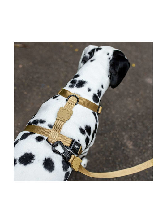 Zee-Dog Ham Pentru Câini H Curea Bej Mediu Zee-Dog Ham Pentru Câini H Curea Bej Mediu