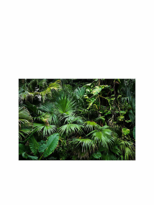 Fototapet de Perete 150x105cm Sunny Jungle Tesatura