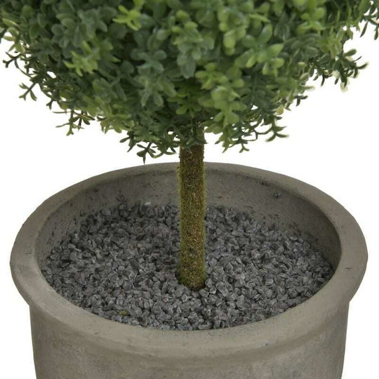Πυξάρι σε Γλάστρα 46cm Inart