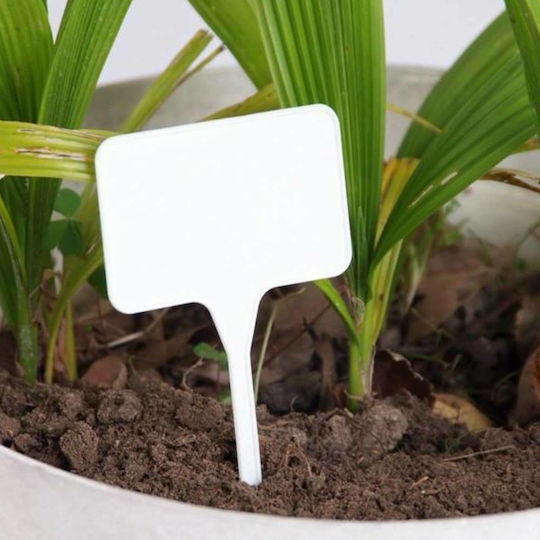 Palaplast Етикет на растението 5x3.5cm