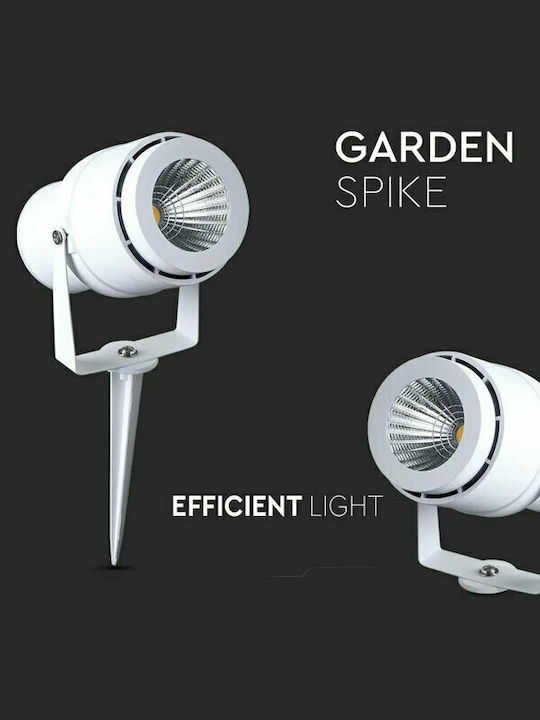 V-TAC Sticla Lumină Led Fixă 217547