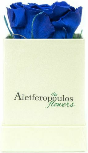 Вечно роза Синьо 9см в кутията Aleiferopoulos Flowers