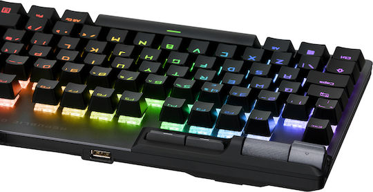 Asus ROG Strix Flare II Animate Tastatură Mecanică de Gaming cu ROG NX Red întrerupătoare și iluminare RGB Gunmetal