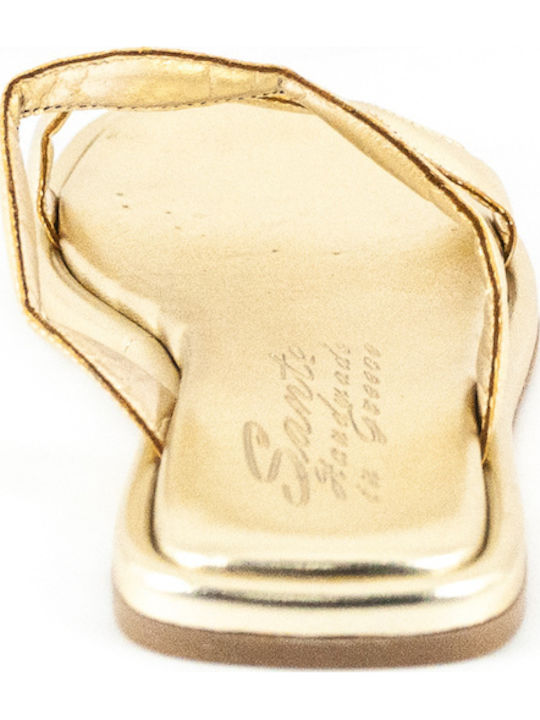 Women's Flat Sandals in Gold Color