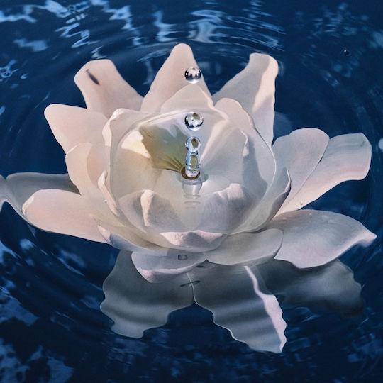 Dior Micellar Water Purifying French Water Lily Ντεμακιγιάζ Προσώπου & Ματιών με Ενυδατική δράση 200ml