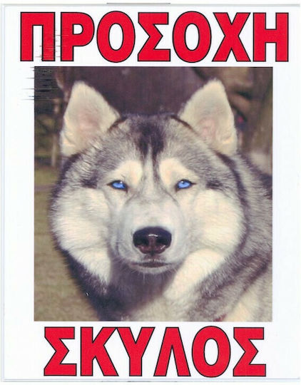 Auto Gs Πινακίδα Προσοχή Σκύλος 20x25εκ.