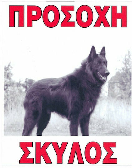 Auto Gs Πινακίδα Προσοχή Σκύλος 20x25εκ.