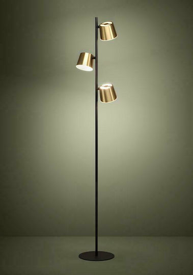 Eglo Altamira Floor Lamp H158.5cm. Gold