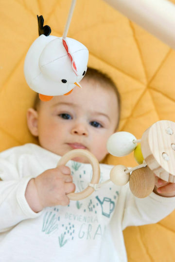 Baby to Love Farm Wooden Baby Gym Activity for Newborns