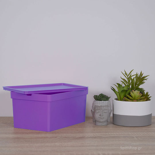 Viomes Nova Plastic Storage Box with Lid Amethyst 28x18.5x13.5cm
