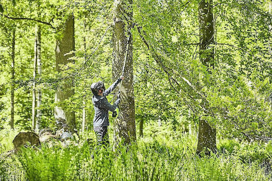 Greenworks GD60PS25 Teleskopisches Bügelsäge Akku 60V Solo Gesamtlänge 280cm und Klinge 25cm