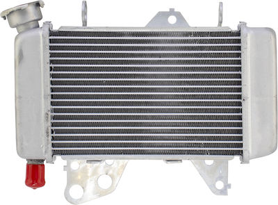 Apido Radiator Motor pentru Honda GTR 150 Radiator pentru Honda GTR 150 58520011