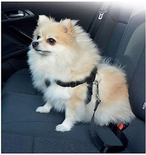 Pawise Seatbelt Car for Dog Safety Belt with Harness S 30-60cm Black